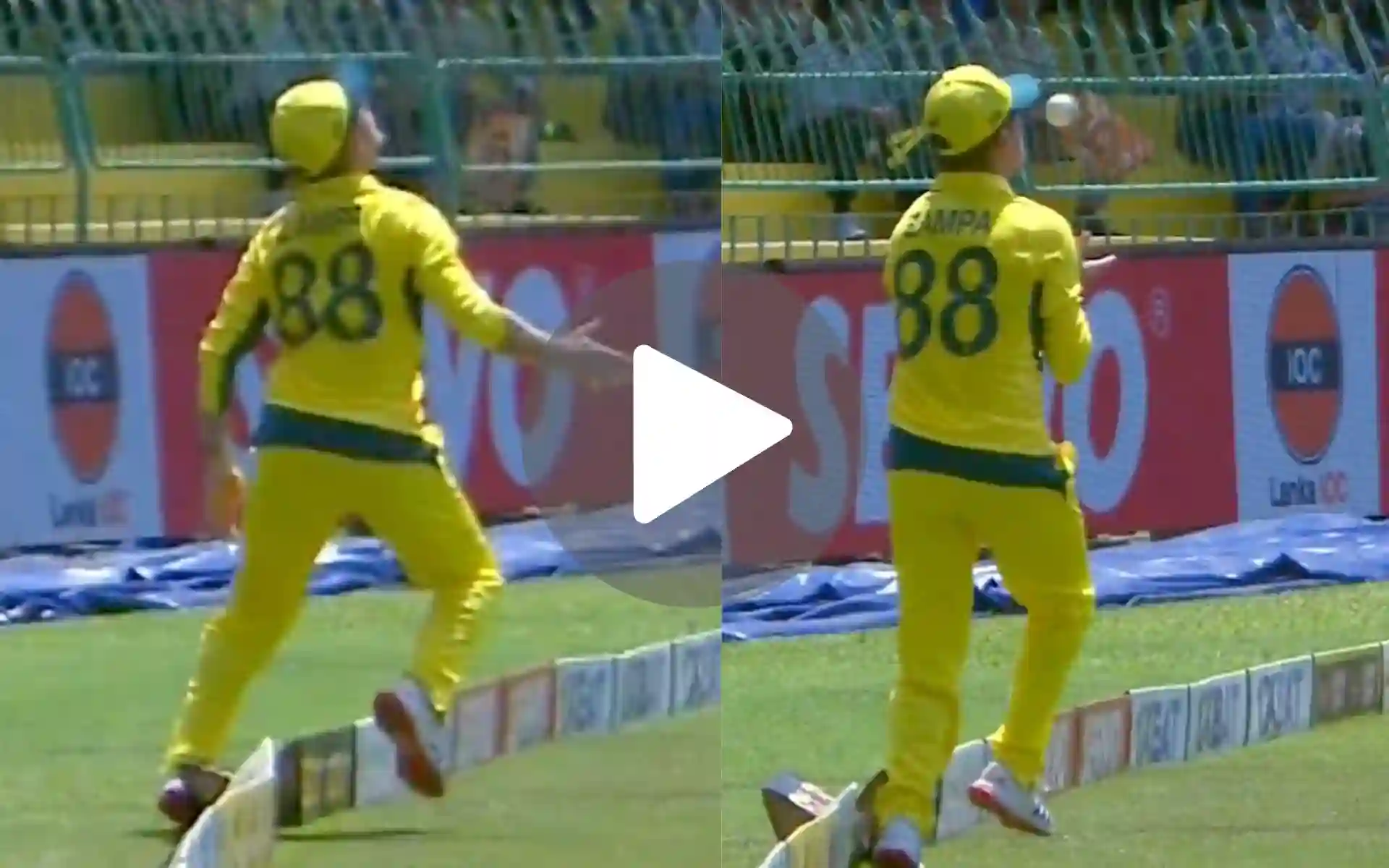 [Watch] Adam Zampa’s Near Blunder Turns Into A Stunning Wicket Of Nishan Madushka